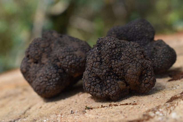 Mayorista De Trufas - Trufas Al Por Mayor